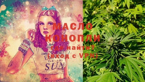 молекула духа Ладушкин