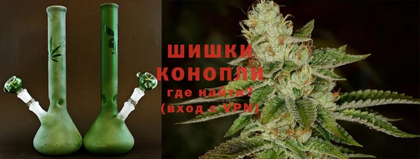 молекула духа Ладушкин