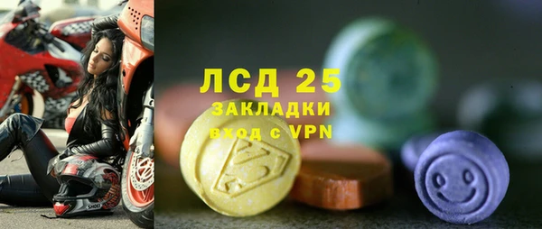 молекула духа Ладушкин