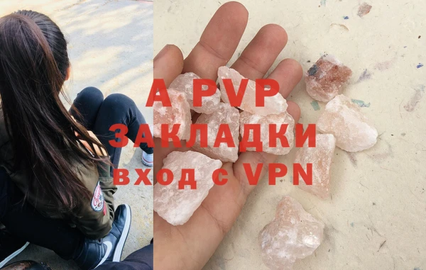 молекула духа Ладушкин