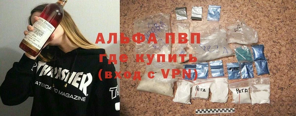 молекула духа Ладушкин