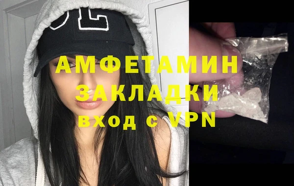 молекула духа Ладушкин