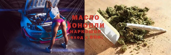 молекула духа Ладушкин