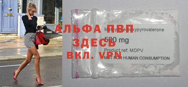 молекула духа Ладушкин
