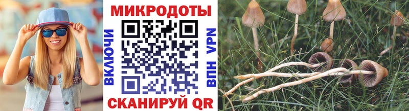 Псилоцибиновые грибы мухоморы  MEGA ONION  Суджа 